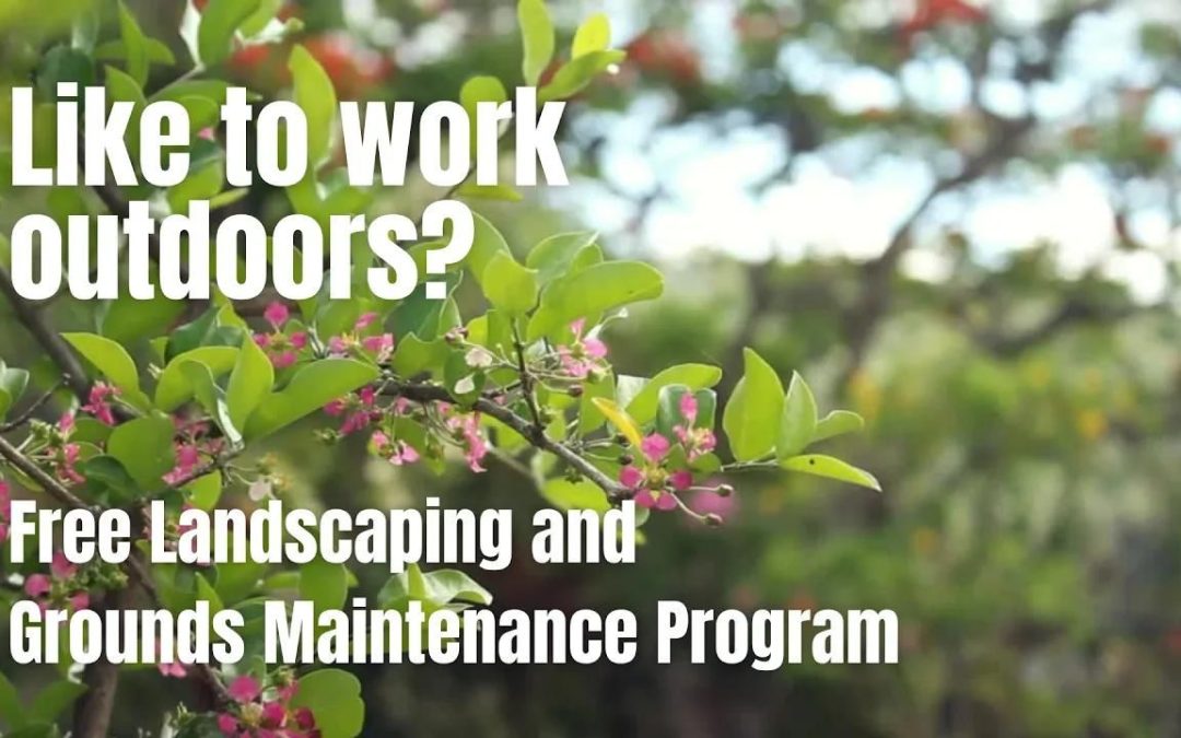 Landscaping class starts soon!