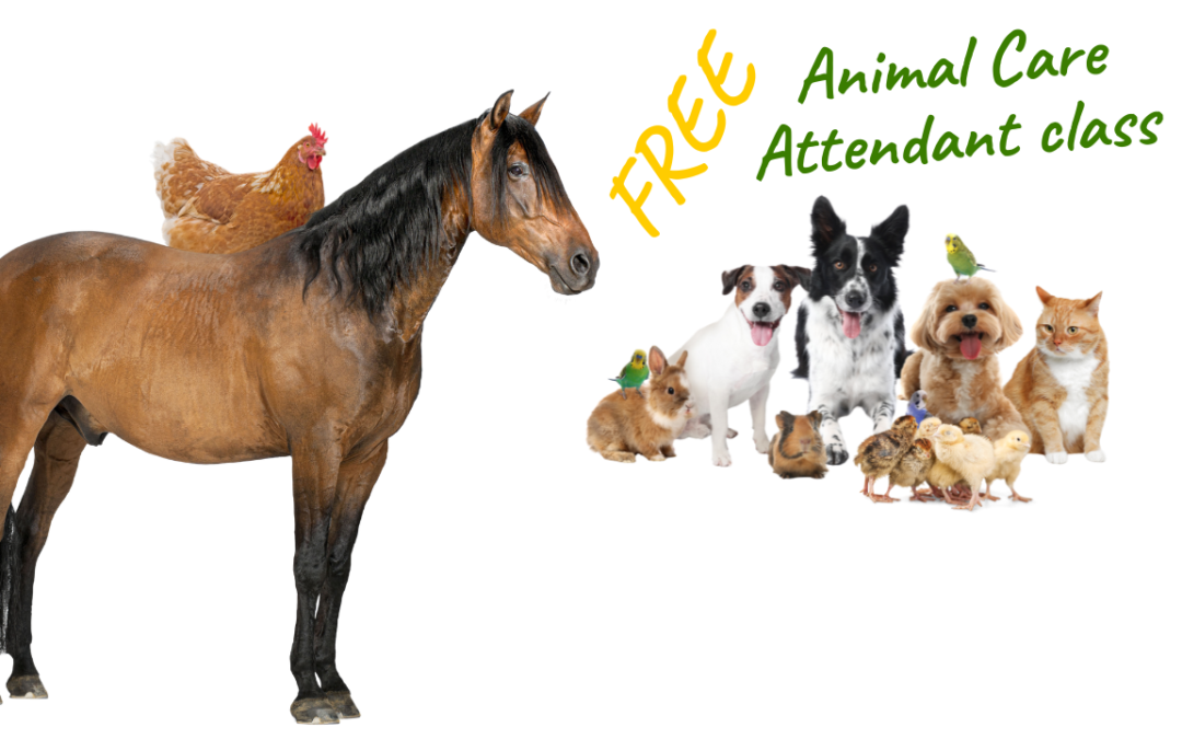 Calling all animal lovers!